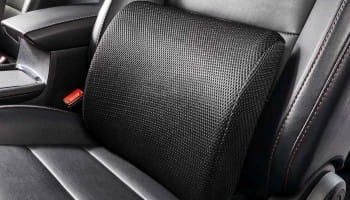 wright-restyling-lumbar-support (1)